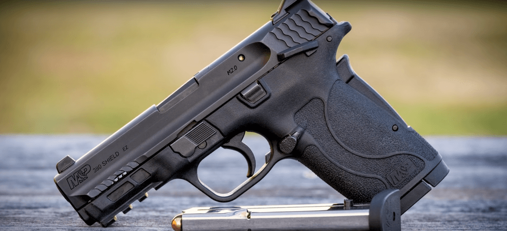 Best Concealed Carry_S-W M&P 380 Shield EZ