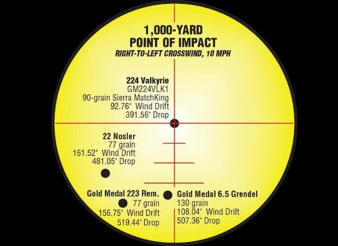 Best 224 Valk rifles - ballistics performance data