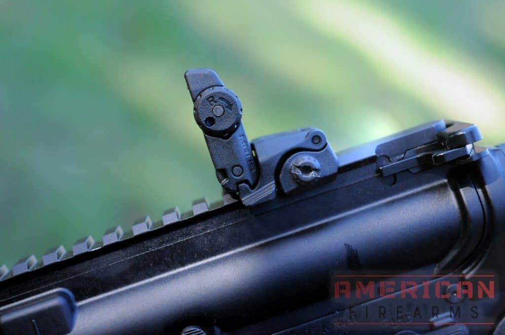 PSA PA-15 with Magpul MOE BIUS