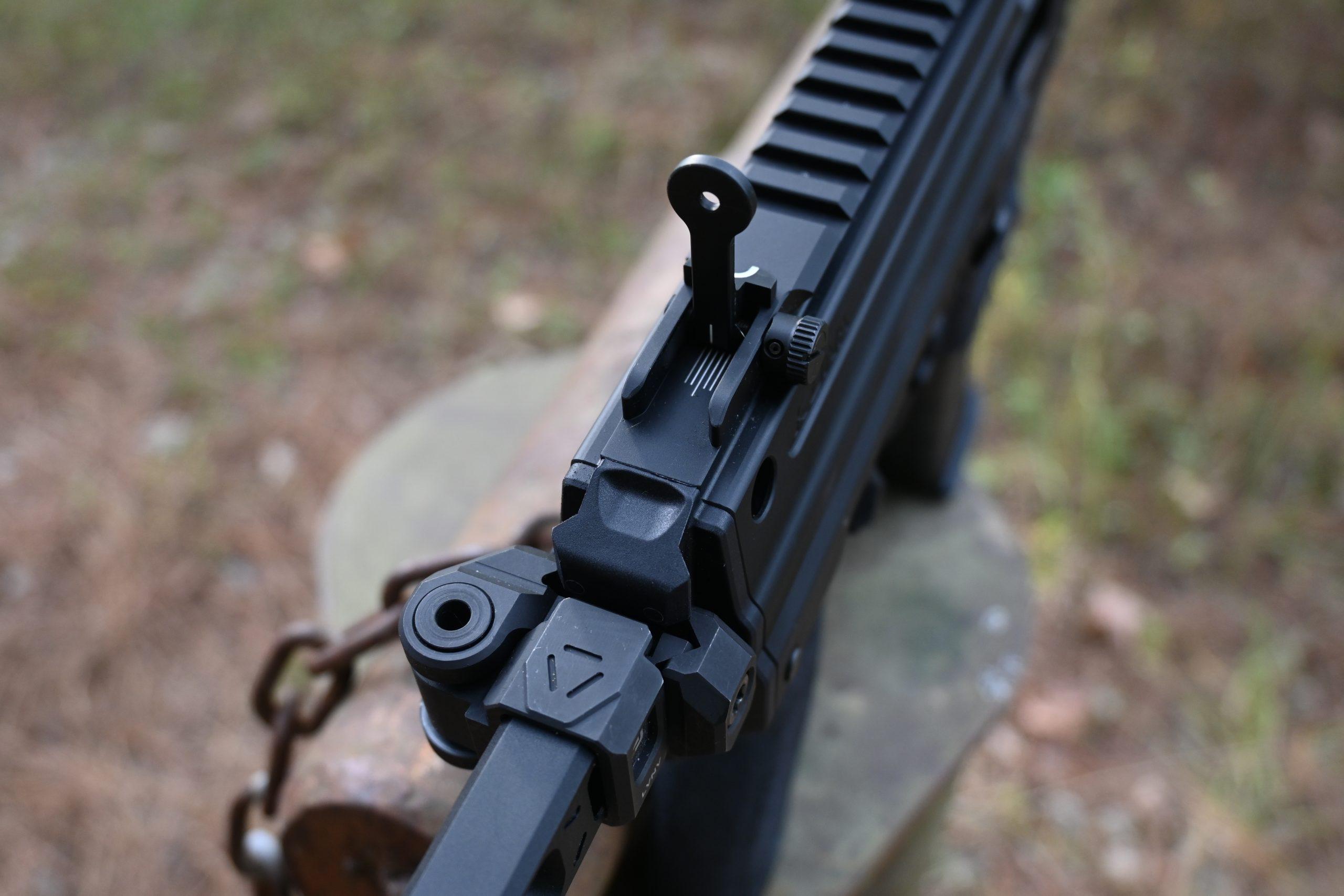 The rear peep sight and adjustable rear aperture.